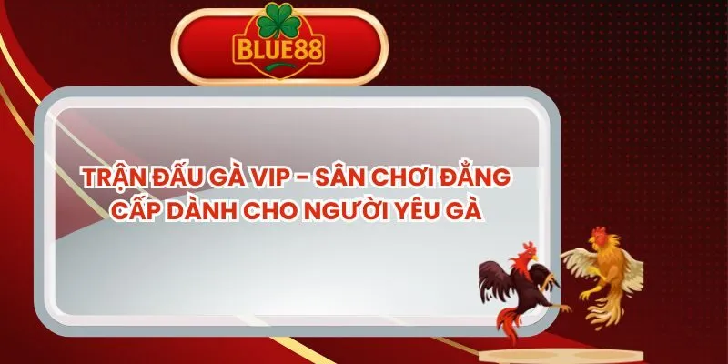 tran-dau-ga-vip